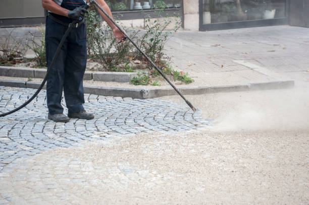 Best Driveway Pressure Washing  in Fowler, MI