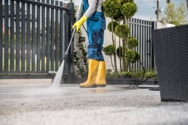 Best Sign and Awning Cleaning  in Fowler, MI